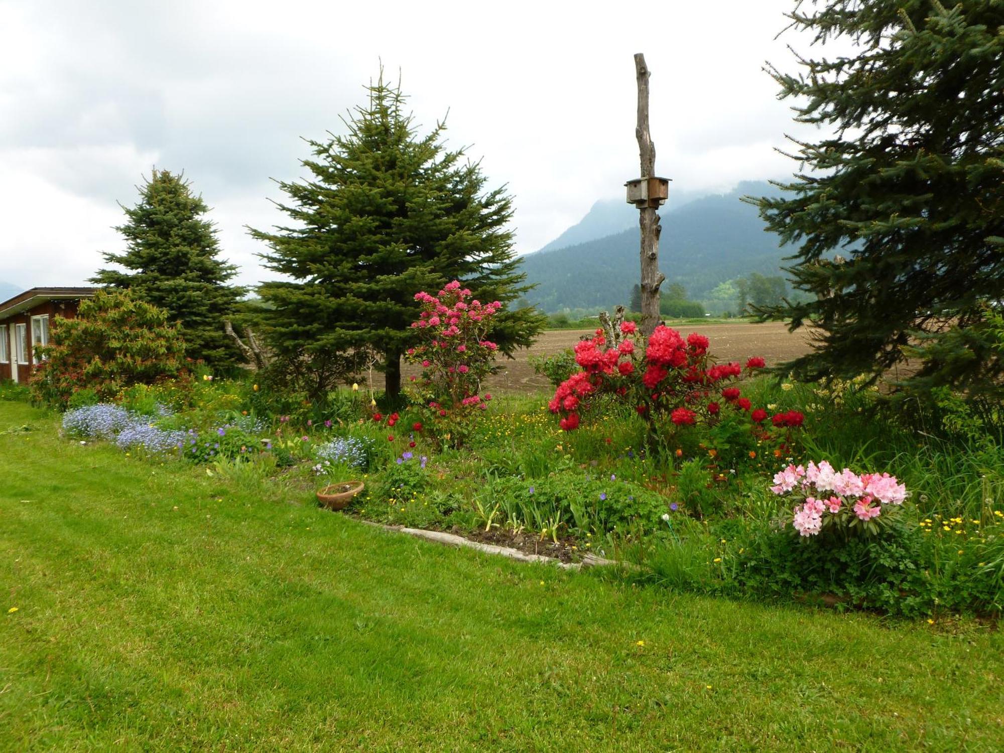 Harrison Hammond House Farmstay Harrison Mills Exterior foto